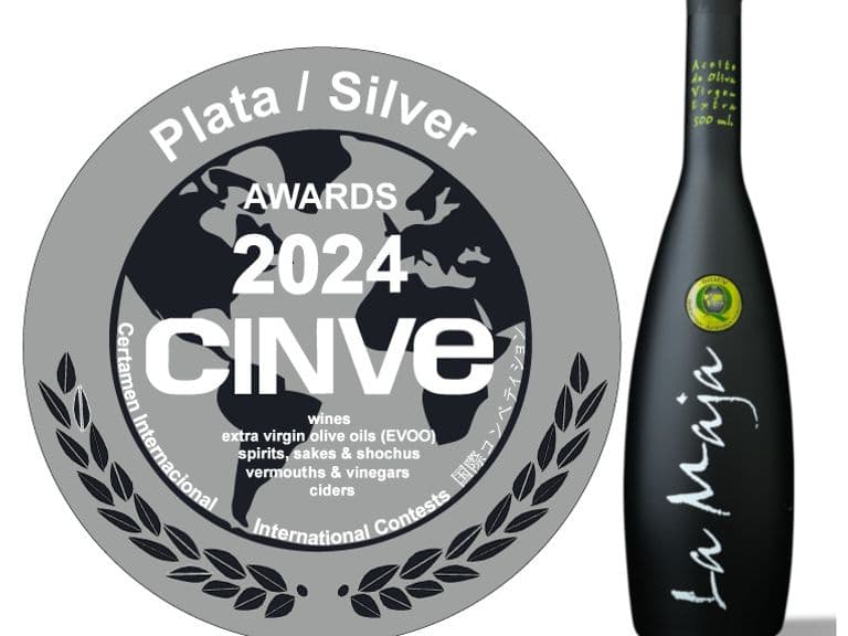 Plata CINVE 2024